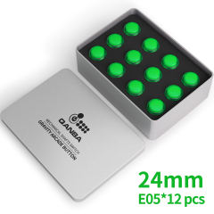 Clear Green E05(12 pcs）