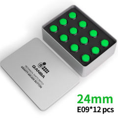 Clear Green Black E09(12 pcs）