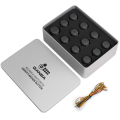 Qanba Gravity KS RGB LED illuminated buttons