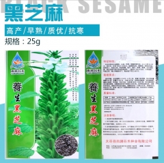 sesame hybrid seeds