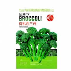 less fibre tender broccoli seeds 500 seeds for planting