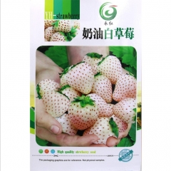 strawberry seeds for sale for planting