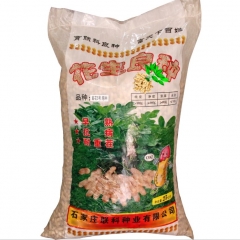 peanut seed price 1kg/bags for planting