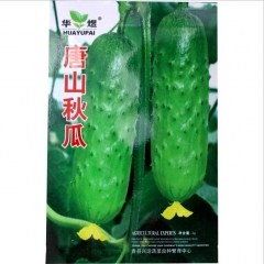 50 seeds boston cucumber seeds