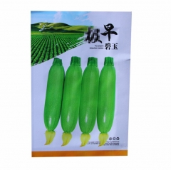10gram growing zucchini indoors seeds