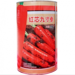 nunhems hybrid carrot seeds