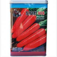 250gram/bags for planting purple carrot seeds