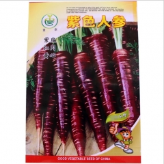 growing carrots from seed 5000 seeds/bags for planting