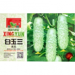 sweeter yet cucumber seeds