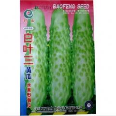 climbing cucumber varieties seeds