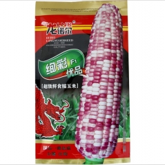 200gram cheap corn seed