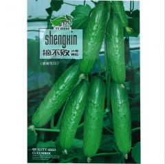 5gram county fair cucumber seeds