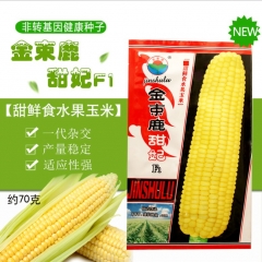 70gram giant corn seeds