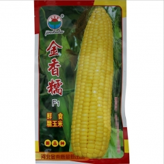 200gram hybrid corn seed
