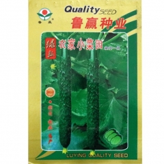 china jade cucumber seeds