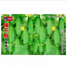 100 seeds heat tolerant cucumber varieties seeds