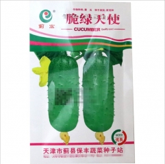 mini cucumber seeds