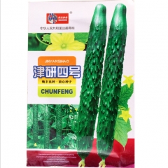wild cucumber seeds