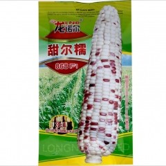 200gram hulless popcorn seeds