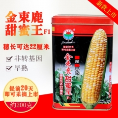 200gram open pollinated corn seed for sale