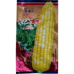 500gram field corn seed 50 lb bag