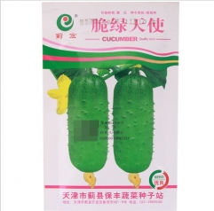 english cucumber seeds