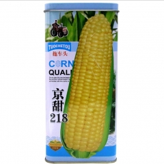 200 gram mirai sweet corn seed
