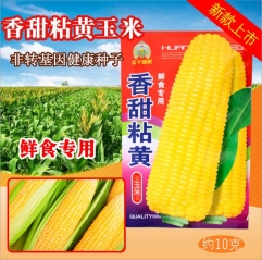 10gram super sweet corn seeds