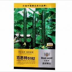 20gram beit alpha cucumber seeds