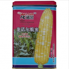 200 gram dwarf corn varieties seeds