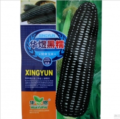 15gram sweet corn seeds per pound