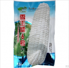 20gram field corn seed