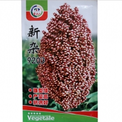 200gram broom corn seed