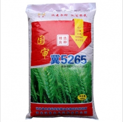 1kg wheatgrass seeds