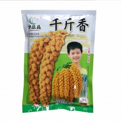 500gram pearl millet seed for sale