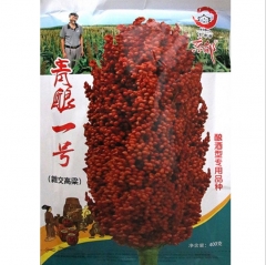 400gram grain sorghum seed companies