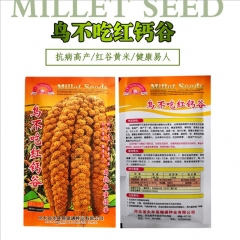 150gram white millet seed