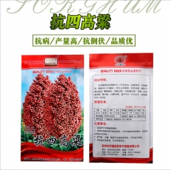 200gram organic sorghum seed