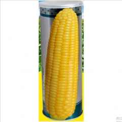 200gram best sweet corn seeds