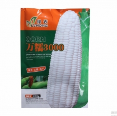 200gram silver queen corn seeds