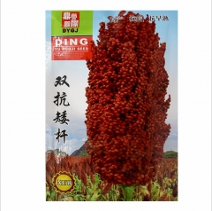 200gram broom corn seeds for sale