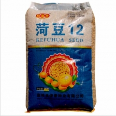 1kg soy beans for sprouting