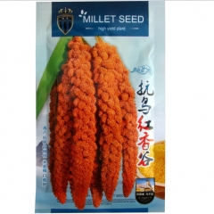 150gram organic millet seed