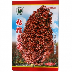 50gram sorghum seed near me