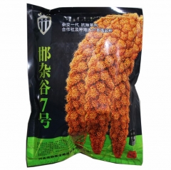 500gram bulk millet seed for sale