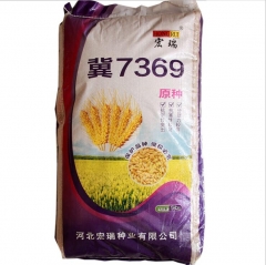 1kg wheat seeds for planting