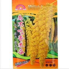 150gram sorghum bird seed