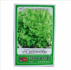 1000 seeds planting lettuce seeds indoors