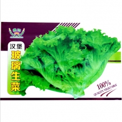 1000 seeds best way to grow lettuce from seed