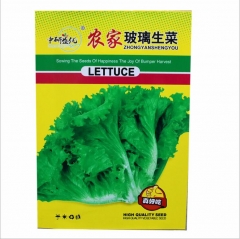 1000 seeds romaine lettuce seeds for sale